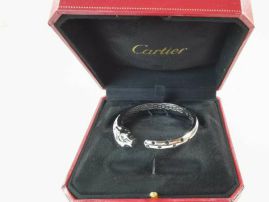 Picture of Cartier Bracelet _SKUCartierbracelet11lyx301262
